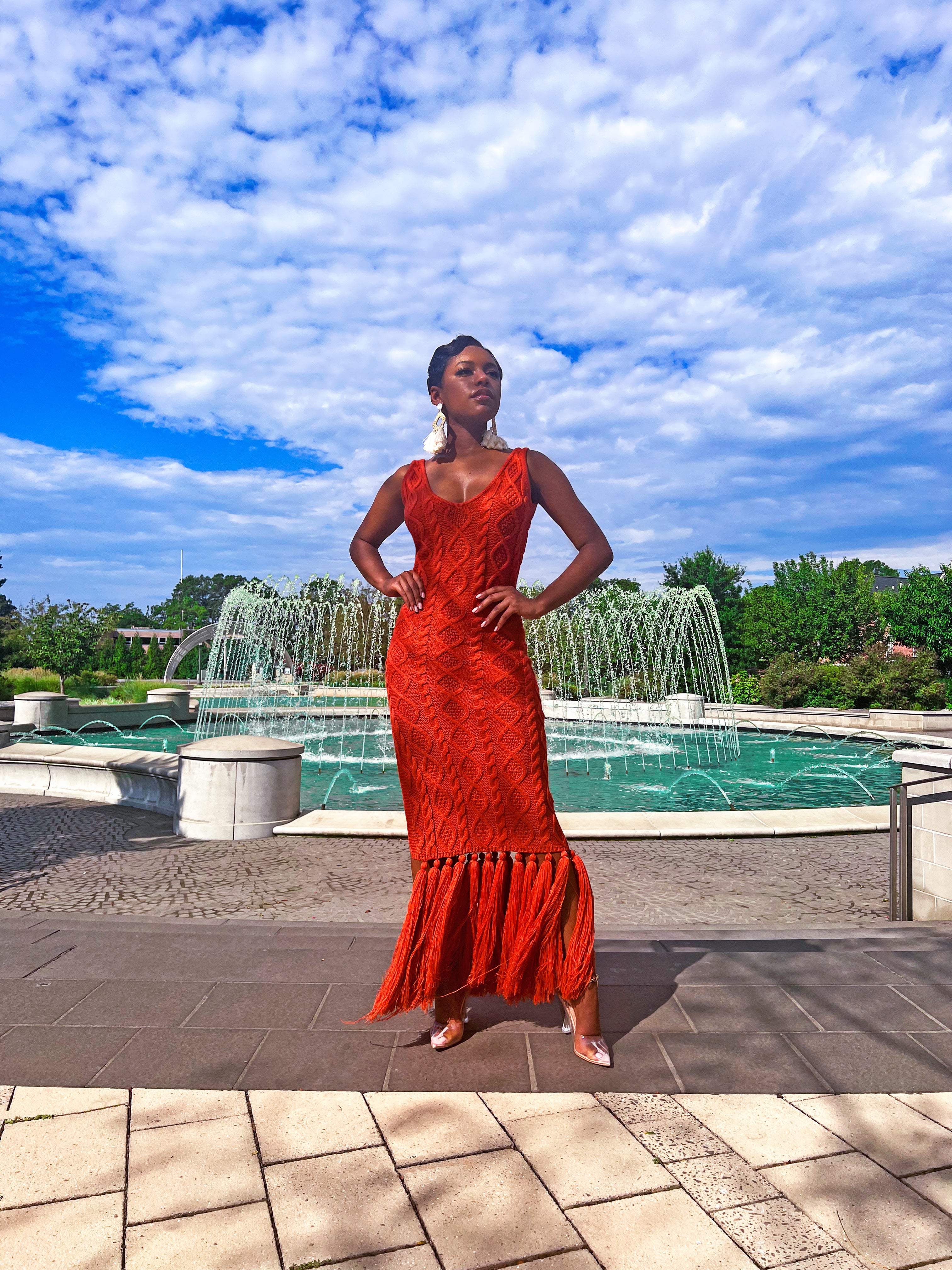 Honesty Fringe Sweater Dress – ELJAvenue